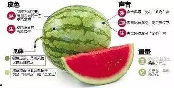 微信吃瓜大号,热门事件背后的真相与笑料