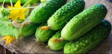 南信院吃瓜,揭秘校园热点背后的故事