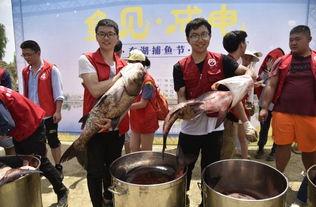 吃瓜福州学校,揭秘校园里的那些“瓜”