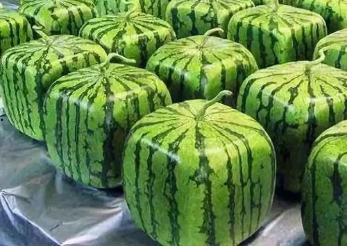 吃瓜之年,盘点娱乐圈的甜蜜与苦涩瞬间