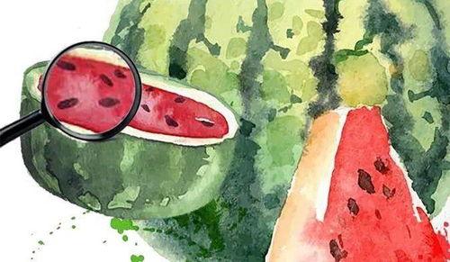 吃瓜之年,盘点娱乐圈的甜蜜与苦涩瞬间