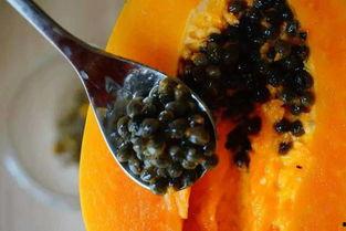 积食可以吃瓜,夏日吃瓜正当时——积食人群的夏日饮食指南