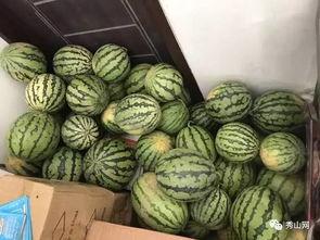 西瓜群吃瓜视频