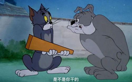 杰瑞吃瓜图文,一场欢乐的夏日盛宴