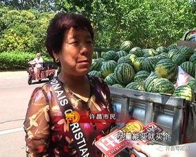 吃瓜下雨,夏日清凉一夏