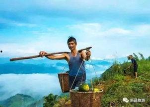 在线吃瓜 新昌,网络“吃瓜”热潮下的地方风情