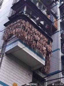 大户人家的吃瓜,揭秘大户人家吃瓜背后的秘密