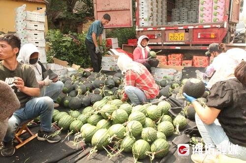 前线吃瓜,揭秘战地风云中的幕后故事