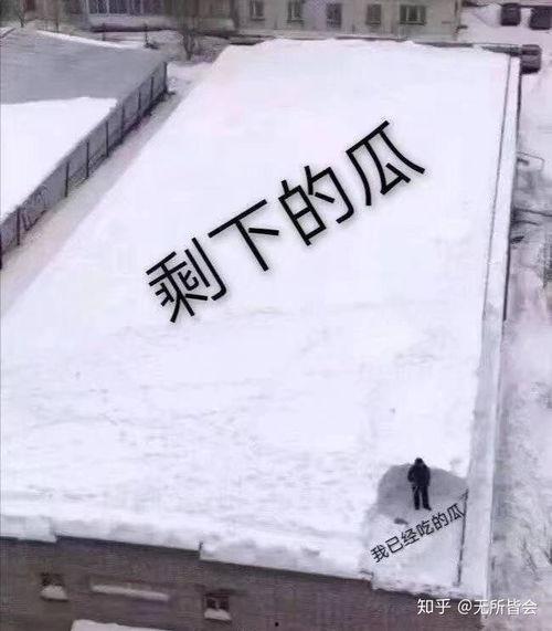 前线吃瓜,揭秘战地风云中的幕后故事