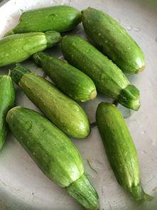 吃角瓜不好,为何吃角瓜不宜过多