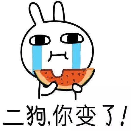 吃瓜潇洒的小趴,小趴带你领略生活百态