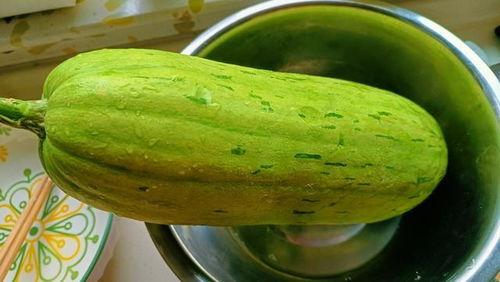 什么月份吃蜜瓜