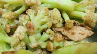 长沙职校吃瓜,揭秘校园“吃瓜”背后的故事