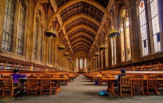 华盛顿大学吃瓜