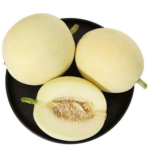 白皮蜜瓜怎么吃,尽享夏日清新美味