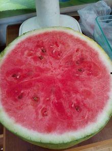 医院日常吃瓜,揭秘医护人员的生活点滴