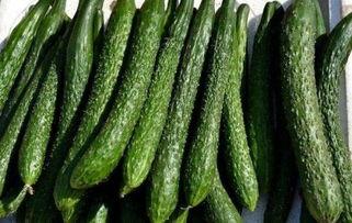 蓝瓜能减肥吃吗,健康减肥新选择