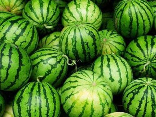 吃瓜不吃好,吃瓜不吃好，真相大揭秘！