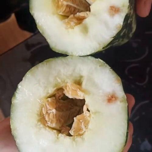 吃瓜不吃好,吃瓜不吃好，真相大揭秘！