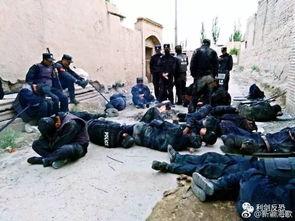 中国警察吃瓜,揭秘警界里的趣味日常