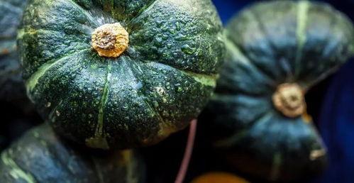 吃的瓜是啥,揭秘各式瓜果的独特魅力