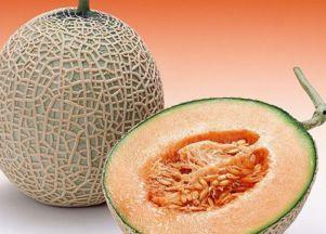 吃头孢可以吃哈密瓜吗,食用禁忌解析
