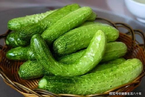 来瓜棚吃瓜管饱