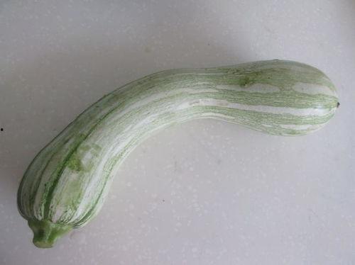 吊瓜吃馅,传统美食的创新演绎