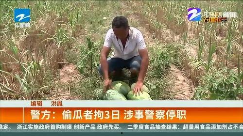 吃瓜被偷300元,一场意外的“瓜农”遭遇