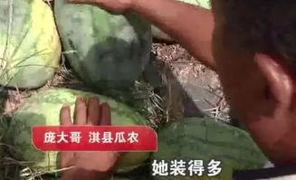 吃瓜被偷300元,一场意外的“瓜农”遭遇