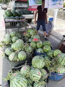 忻州最新吃瓜事件,揭秘背后真相，网络舆论再掀波澜