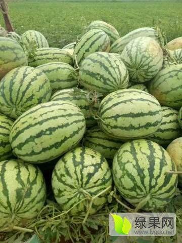 忻州最新吃瓜事件,揭秘背后真相，网络舆论再掀波澜