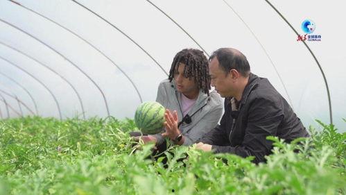 吃瓜连线,揭秘娱乐圈幕后故事