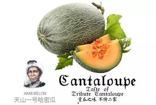 老强吃瓜,揭秘娱乐圈那些不为人知的幕后故事