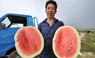 老强吃瓜,揭秘娱乐圈那些不为人知的幕后故事