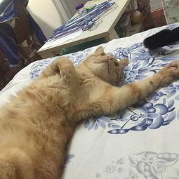 吃瓜心脏不舒服,揭秘心脏不适背后的真相