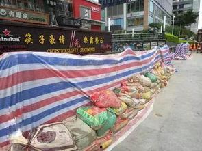 福州全城吃瓜,一场别开生面的“吃瓜”盛宴