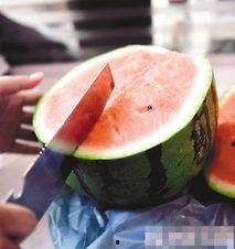 来事吃条纹瓜,探寻美食与历史的交织之旅