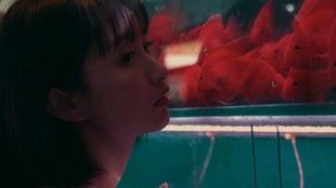 少女吃瓜路人,揭秘青春校园的甜蜜与苦涩