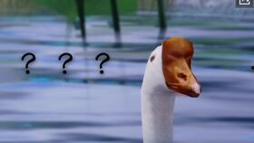 江小于吃瓜,揭秘娱乐圈背后的那些事儿