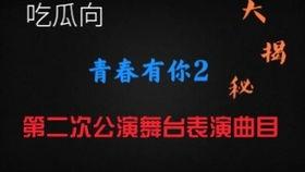 吃瓜抖音歌曲,带你领略网络潮流魅力