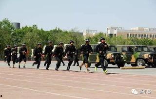 长沙警校吃瓜事件,校园风波背后的真相与反思