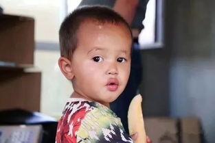 晓静吃瓜群众,吃瓜群众的视角，揭秘娱乐圈风云