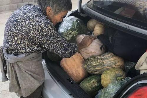 火车上吃瓜,共享瓜香，共度温馨时光