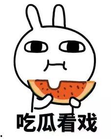 吃瓜文搞笑,那些让人捧腹的吃瓜瞬间