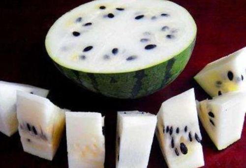 大瓜吃白肉,尽享白肉美味之旅