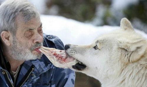 吃瓜狼yico,网络红人的崛起与影响力