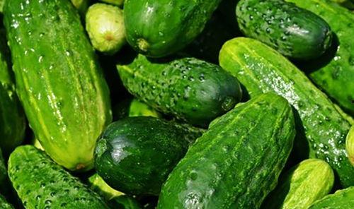 坚持吃瓜图片大全,盘点那些让人捧腹大笑的“吃瓜”瞬间