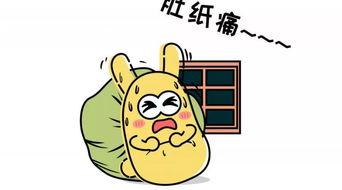 吃瓜群众生日,揭秘吃瓜群众的欢乐时光