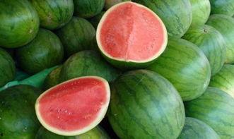 吃瓜五组,一场舌尖上的美食盛宴